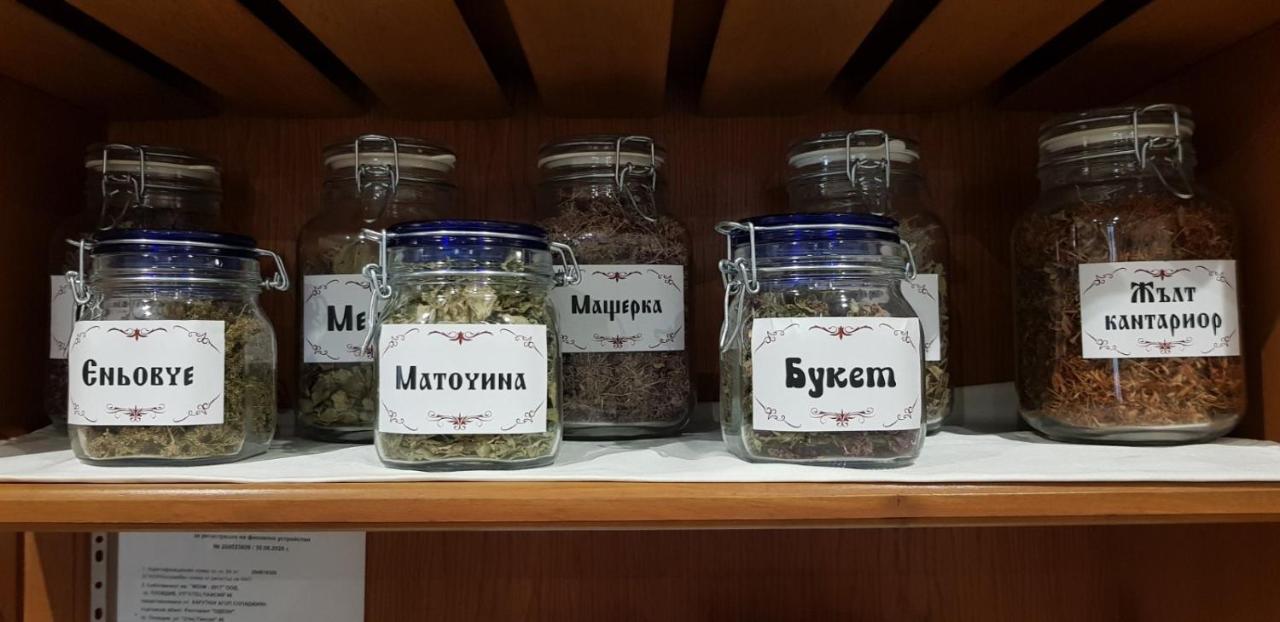 Hotel Odeon Φιλιππούπολη Εξωτερικό φωτογραφία